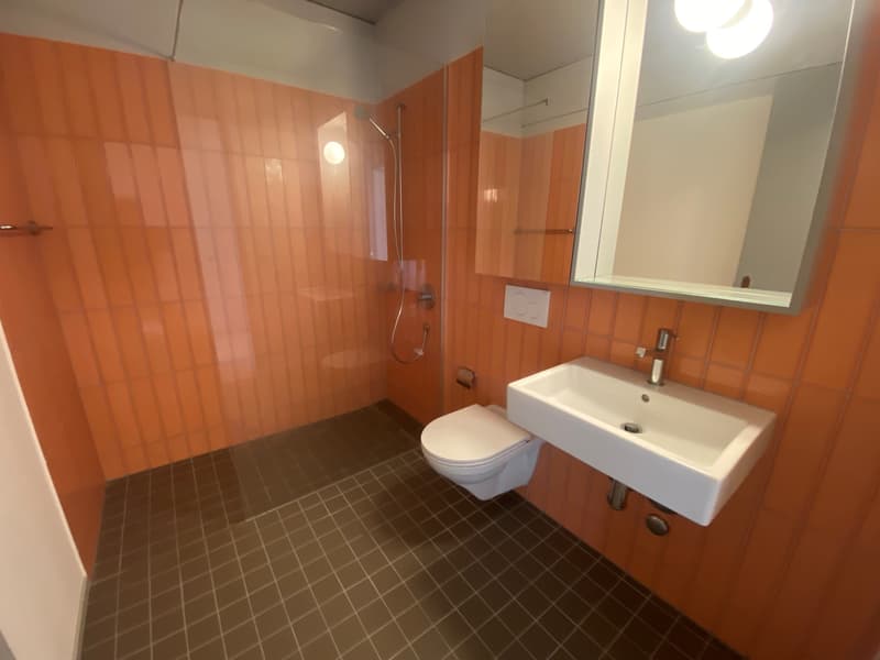 Modern apartment in Winterthur (5)