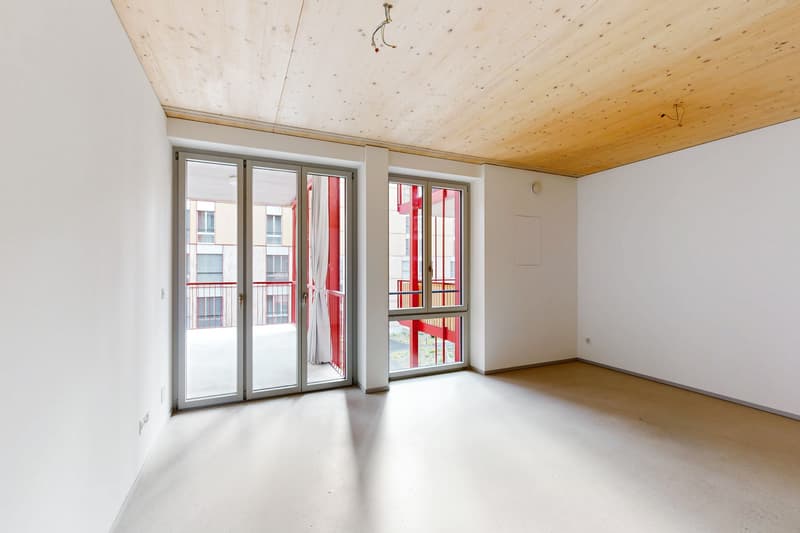 Modern apartment in Winterthur (2)