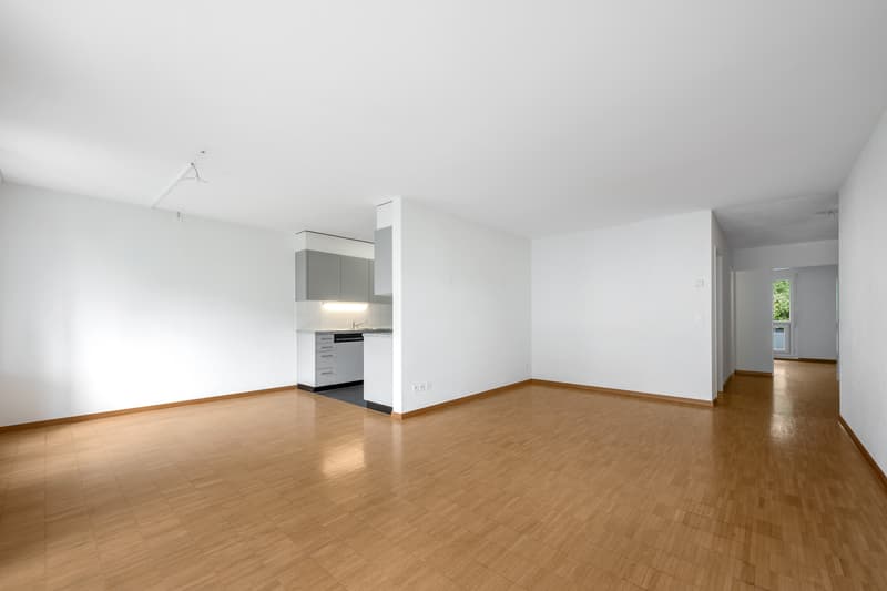 Appartement dans un quartier calme près du Greifensee (3)