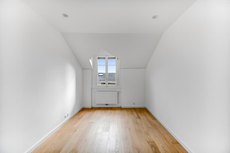 Duplex en plein coeur de Genève ! (6)