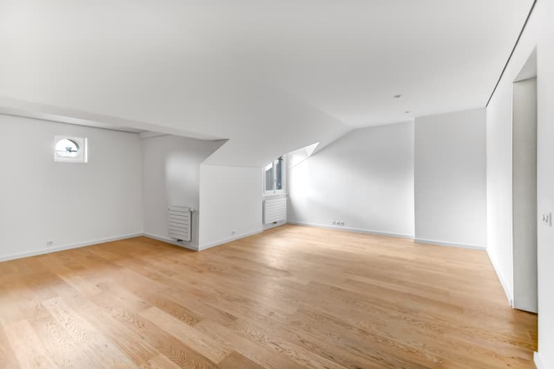Duplex en plein coeur de Genève ! (7)