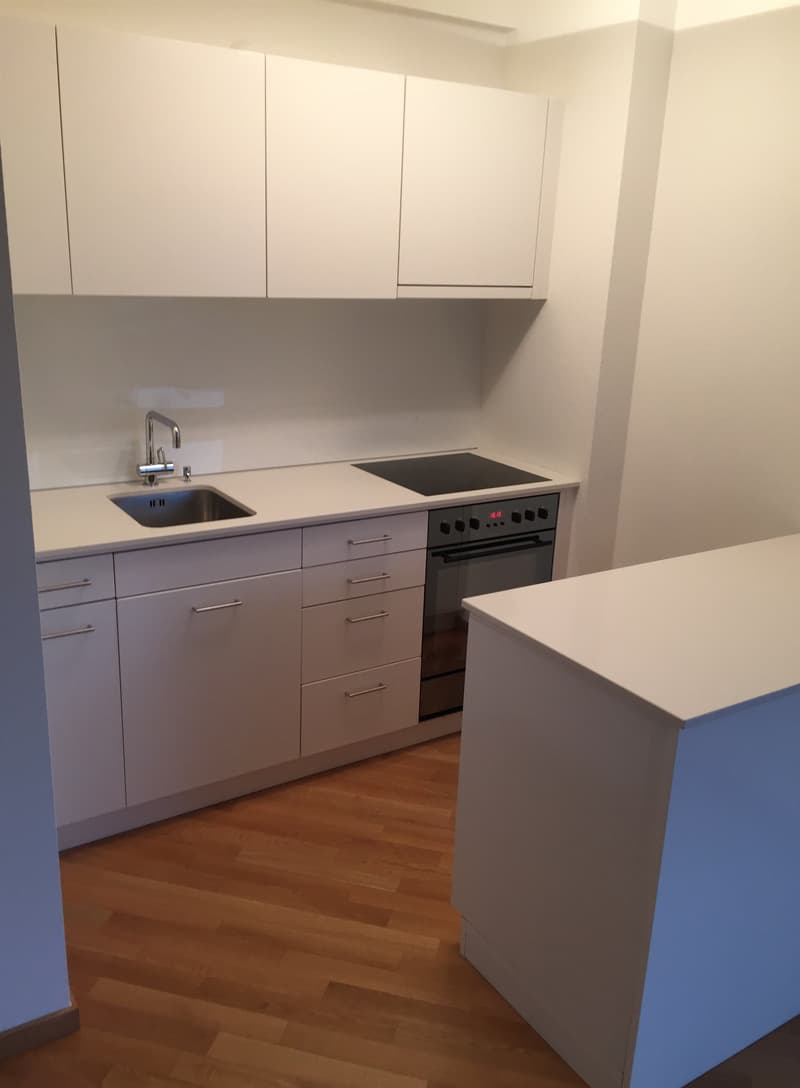 Perfekte Single-Wohnung (2)