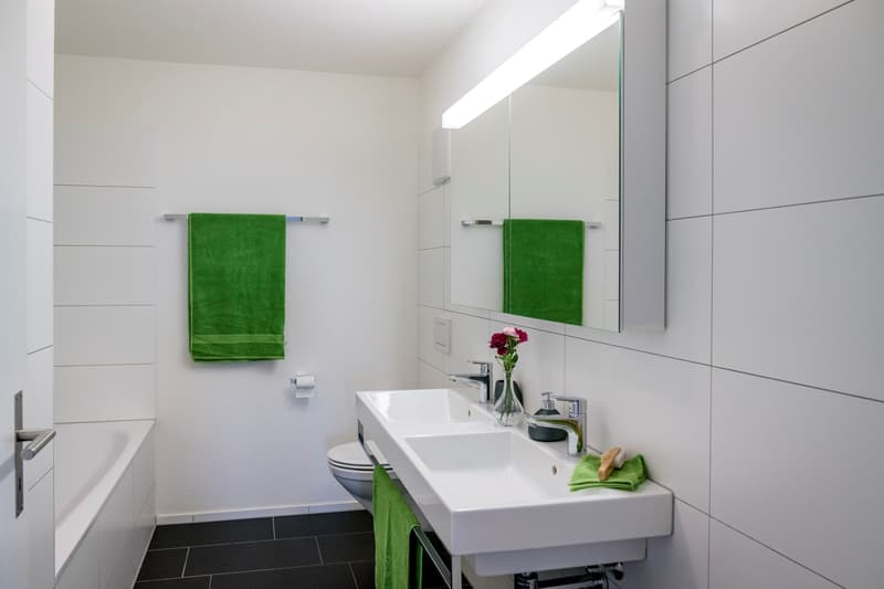 Appartement attractif dans un endroit calme vous cherche ! (4)