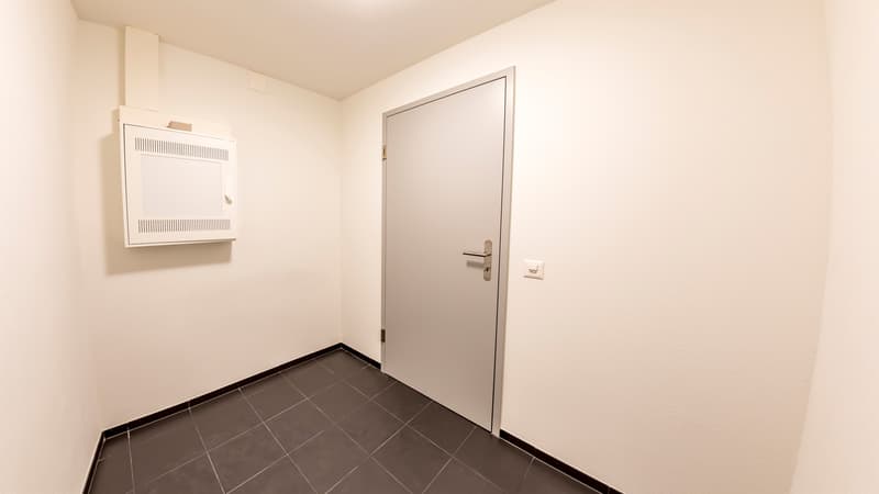 Einzigartige Dachwohnung im idyllischen Feldbrunnen (6)