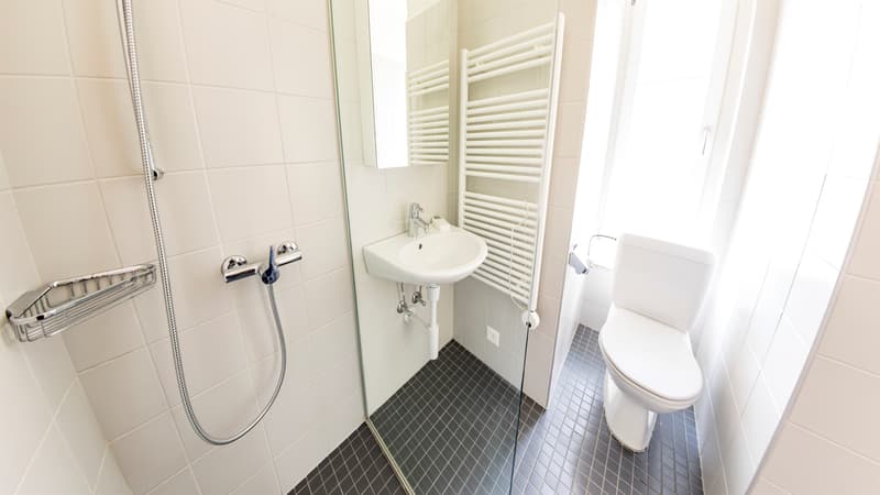 Einzigartige Dachwohnung im idyllischen Feldbrunnen (3)