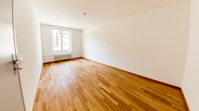 Einzigartige Dachwohnung im idyllischen Feldbrunnen (4)