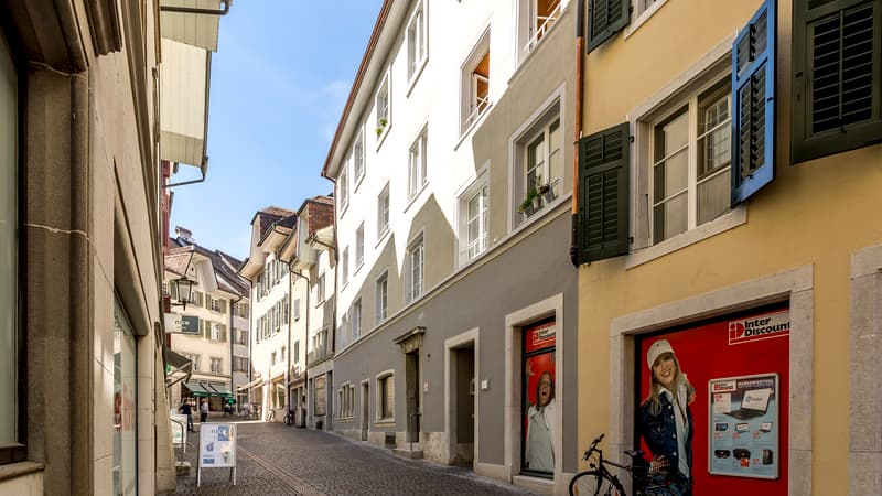 Einzigartige Dachwohnung im idyllischen Feldbrunnen (8)
