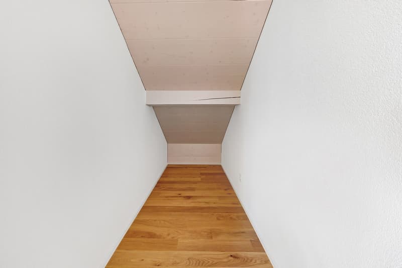 Einzigartige Dachwohnung im idyllischen Feldbrunnen (12)