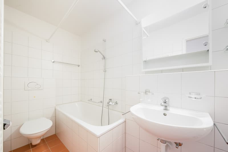 Attraktive Wohnung in der Nähe vom Flughafen Kloten (5)