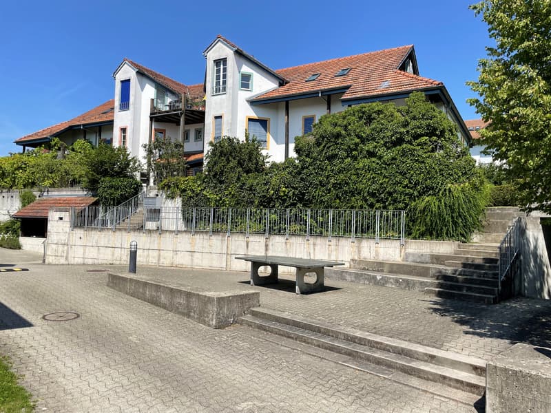 Tolle Wohlfühloase mit Gartensitzplatz im steuergünstigen Uitikon-Waldegg! (2)