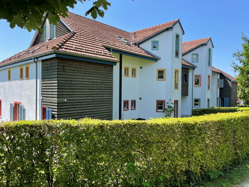 Tolle Wohlfühloase mit Gartensitzplatz im steuergünstigen Uitikon-Waldegg! (1)