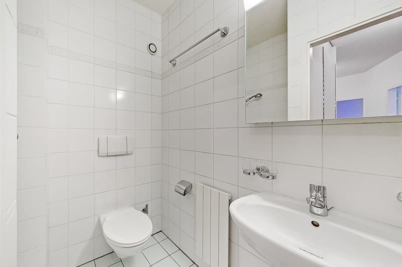 Bel appartement avec une vue dégagée (11)