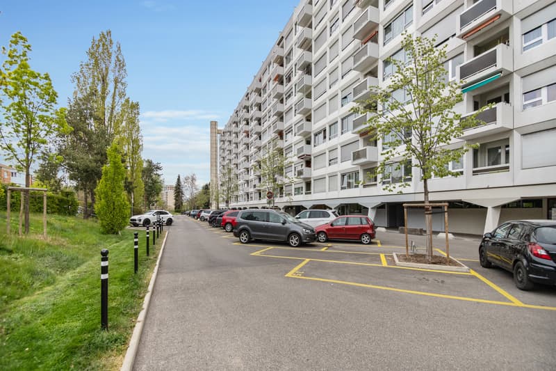 Onex - Garage/box à louer (1)