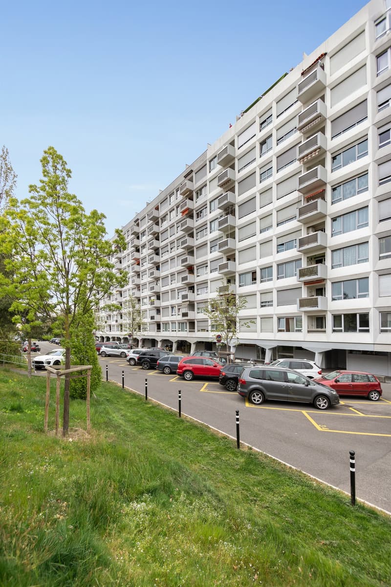 Onex - Garage/box à louer (3)