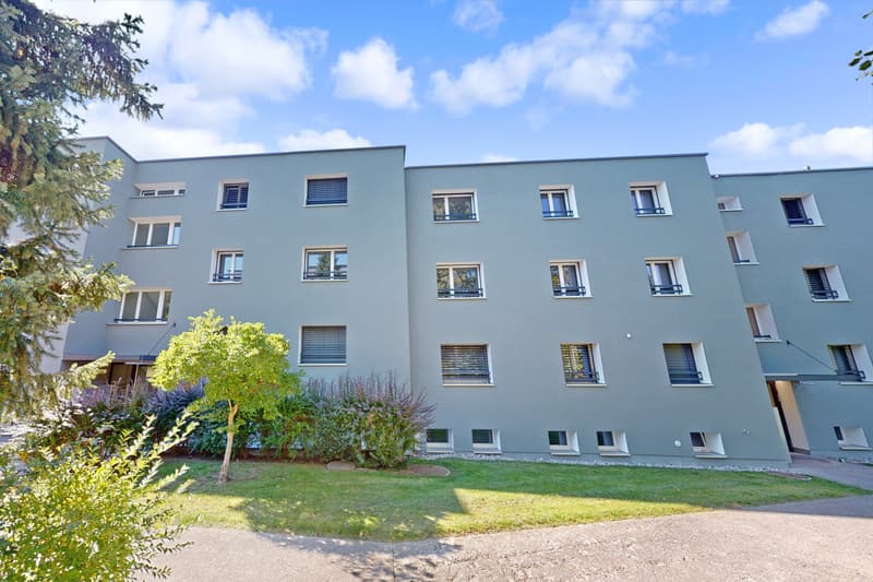 Helle, grosszügige Wohnung mit Gartensitzplatz - befristet - 30.06.2027 (1)
