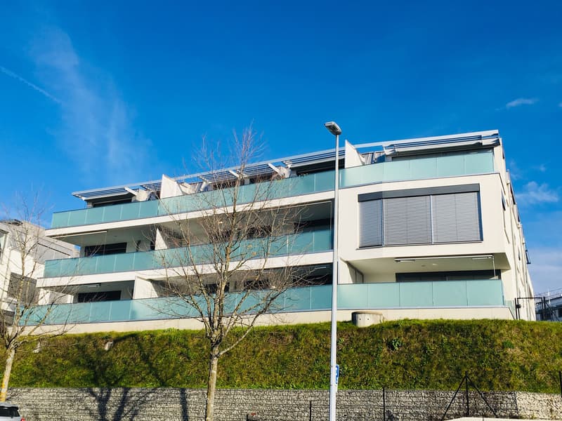 Appartement à la Sallaz (1)