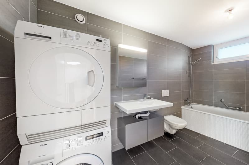 Magnifique appartement en duplex sur Fribourg ! (8)