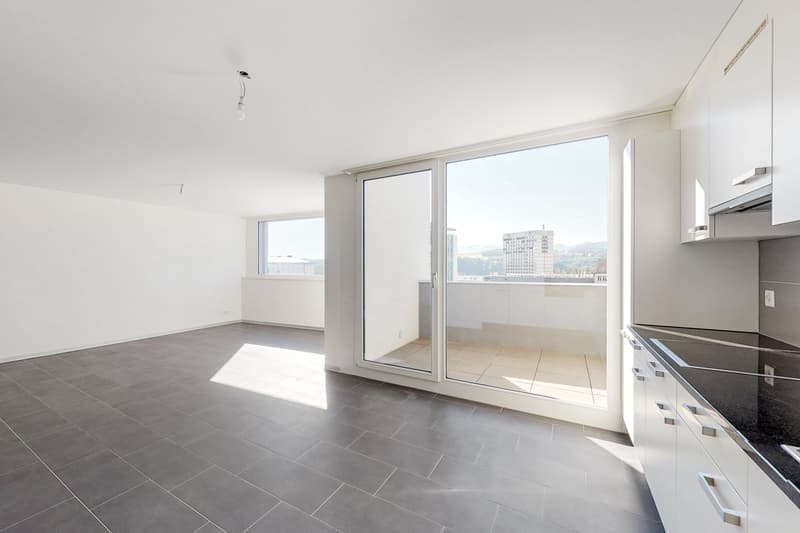 Magnifique appartement en duplex sur Fribourg ! (3)