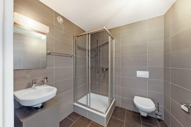 Magnifique appartement en duplex sur Fribourg ! (9)