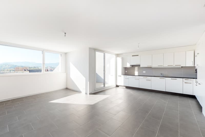 Magnifique appartement en duplex sur Fribourg ! (1)