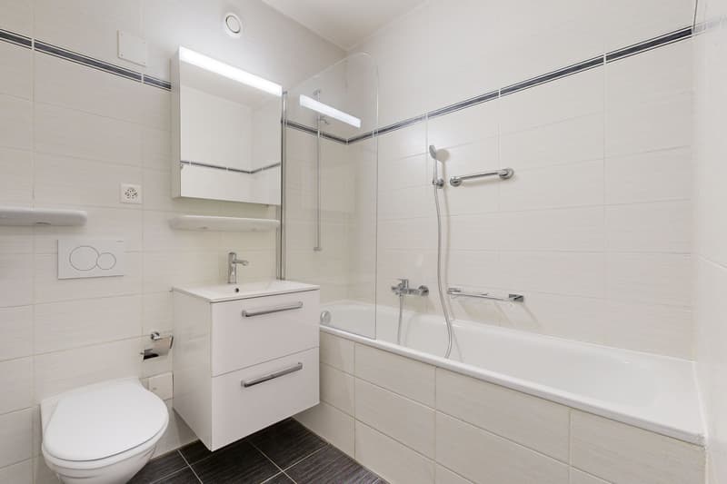Superbe appartement proche du Parc Geisendorf (8)