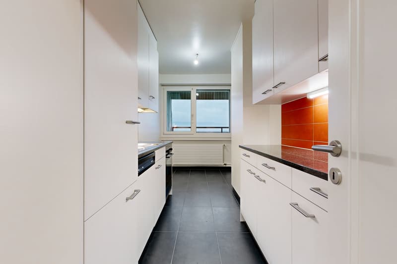 Superbe appartement proche du Parc Geisendorf (4)