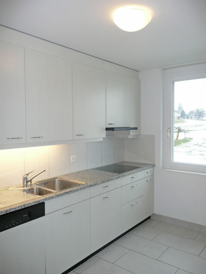 Wunderschöne Wohnung in Feldmeilen (4)
