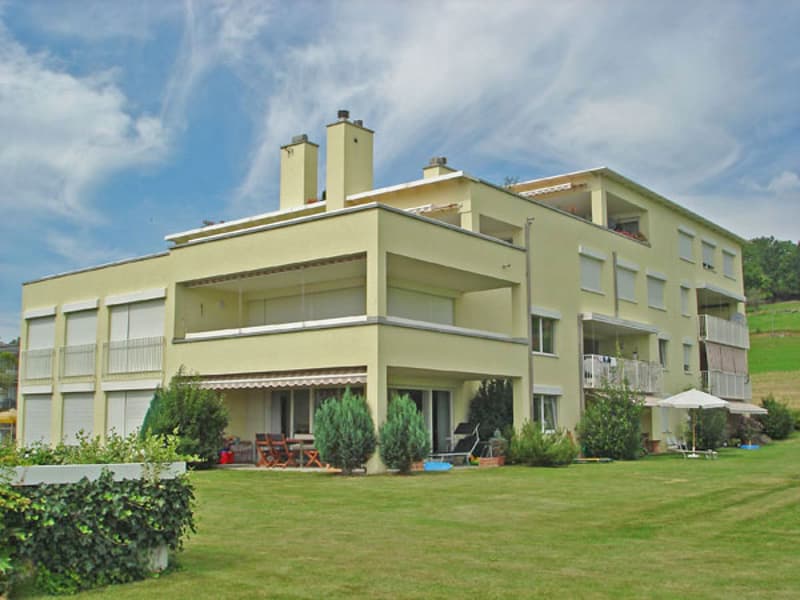 Wunderschöne Wohnung in Feldmeilen (1)