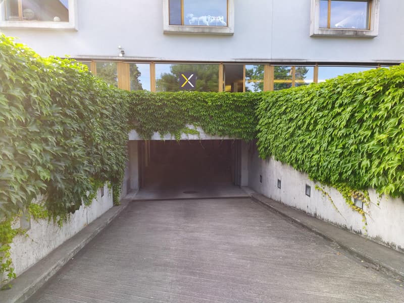 Trockenes Plätzchen für Ihr Auto (2)