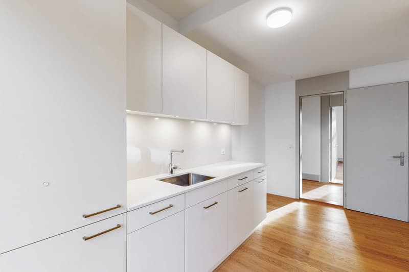 Charmante Altbauwohnung im Herzen von Zürich (2)
