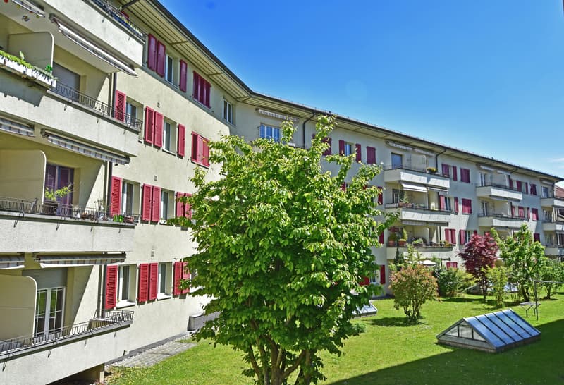 Ihr neues Zuhause im Mattenhofquartier (2)