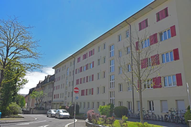 Ihr neues Zuhause im Mattenhofquartier (1)