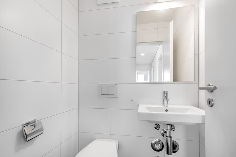 Perfekte Wohnung in Dübendorf mit Dachterrasse! (6)