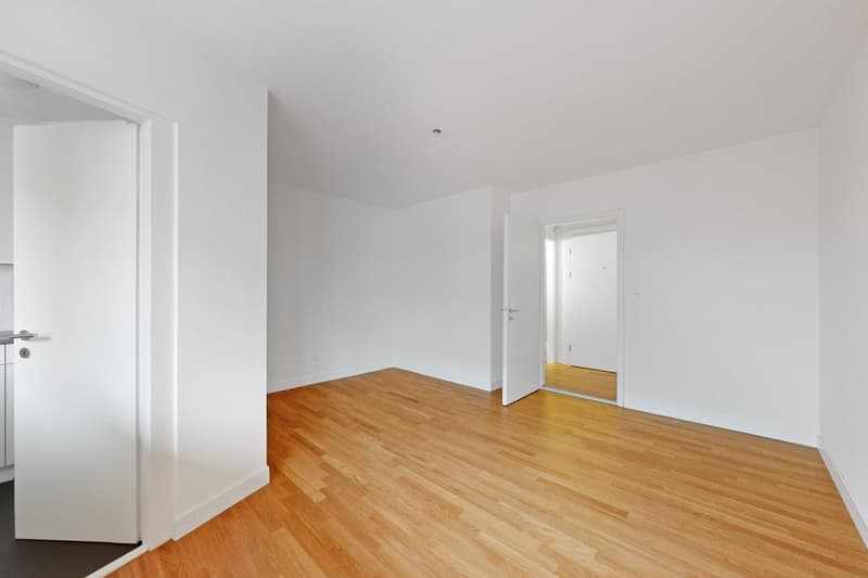 Singlewohnung an zentraler Lage (2)
