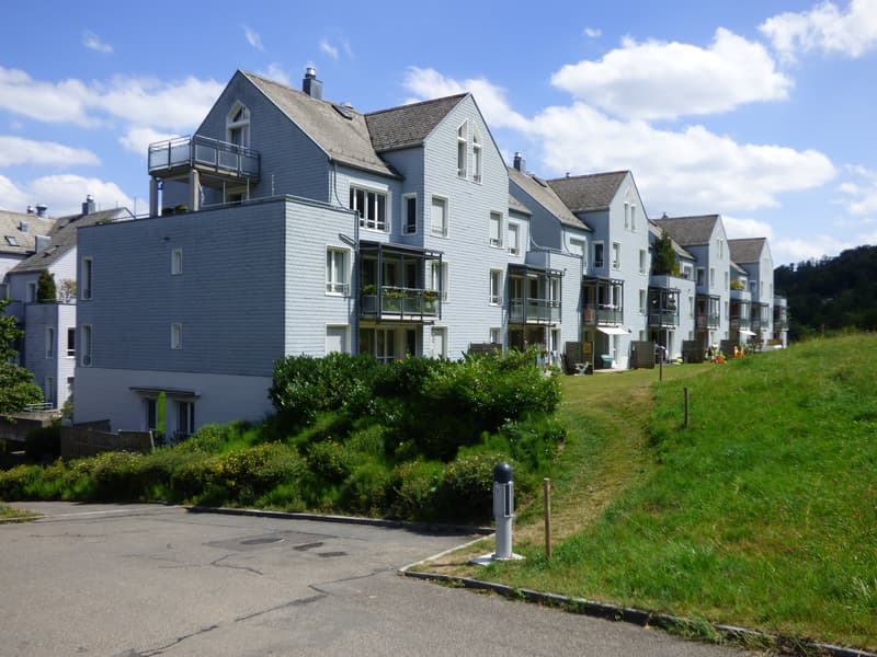 Dach-Maisonette-Wohnung an ruhiger Lage (1)