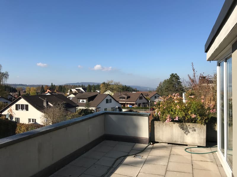 Wohntraum Attika - im bevorzugten Haslenquartier mit 2 Terrassen! (12)