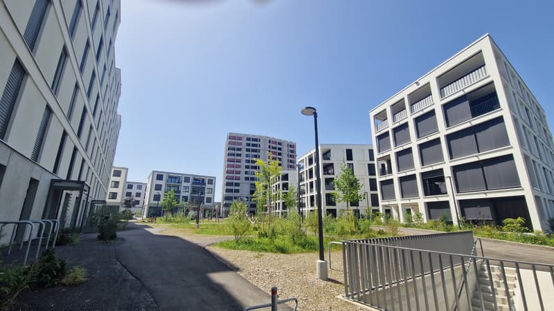 Erste gemeinsame Wohnung mit Sitzplatz (1)
