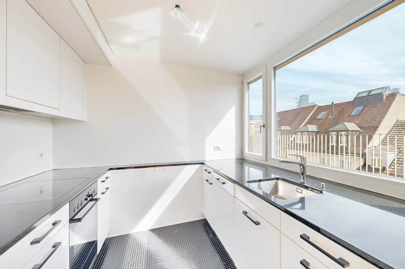 Attraktive Attikawohnung mit grosszügiger Dachterrasse (2)