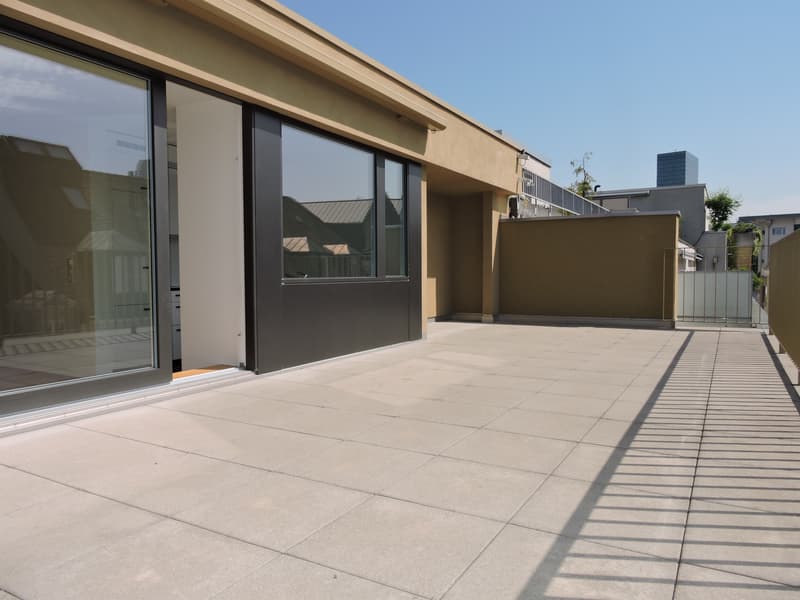 Attraktive Attikawohnung mit grosszügiger Dachterrasse (5)