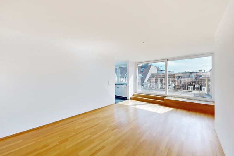 Attraktive Attikawohnung mit grosszügiger Dachterrasse (3)