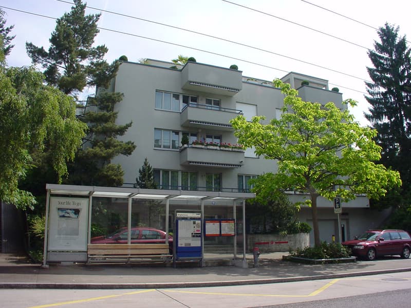 Zürich-Höngg, zentral und doch ruhig (2)