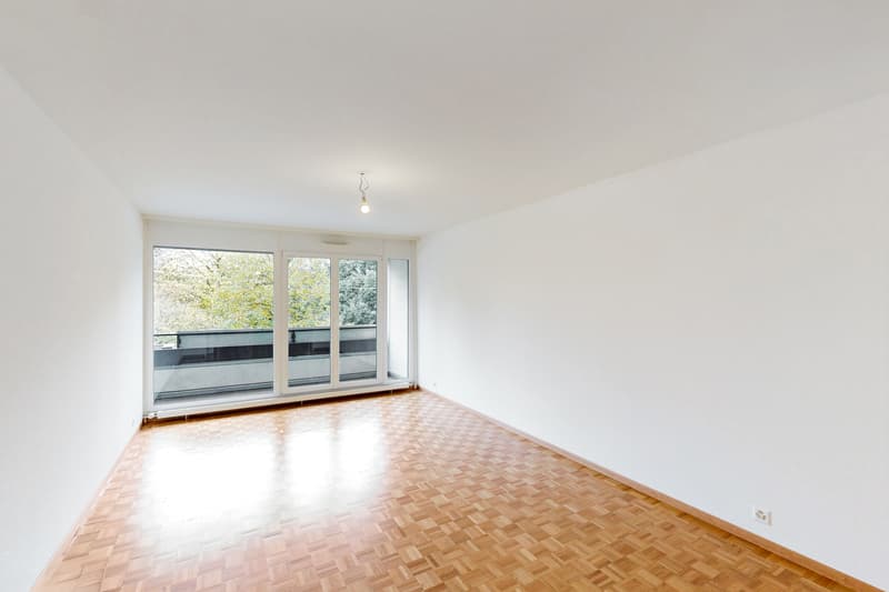 Appartement lumineux de 3,5 pièces (6)