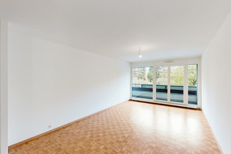 Appartement lumineux de 3,5 pièces (4)