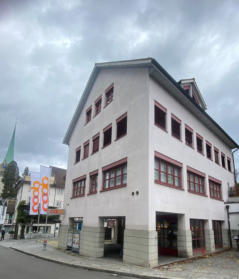 Bürofläche im Herzen von Horgen (7)
