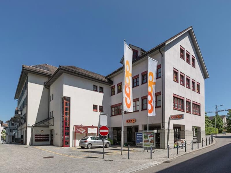 Bürofläche im Herzen von Horgen (1)