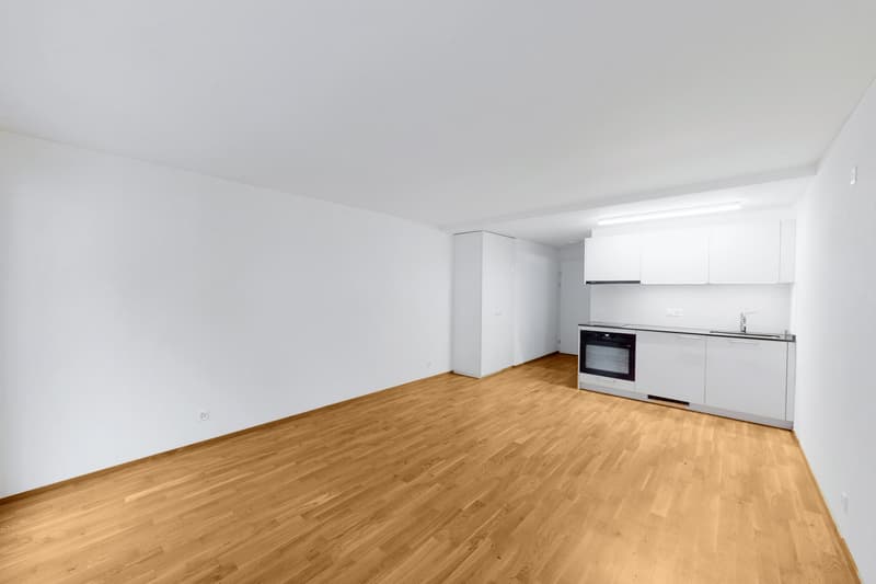 Attraktive Singlewohnung mitten in der Stadt Luzern (3)