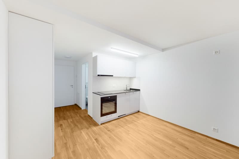 Attraktive Singlewohnung mitten in der Stadt Luzern (2)