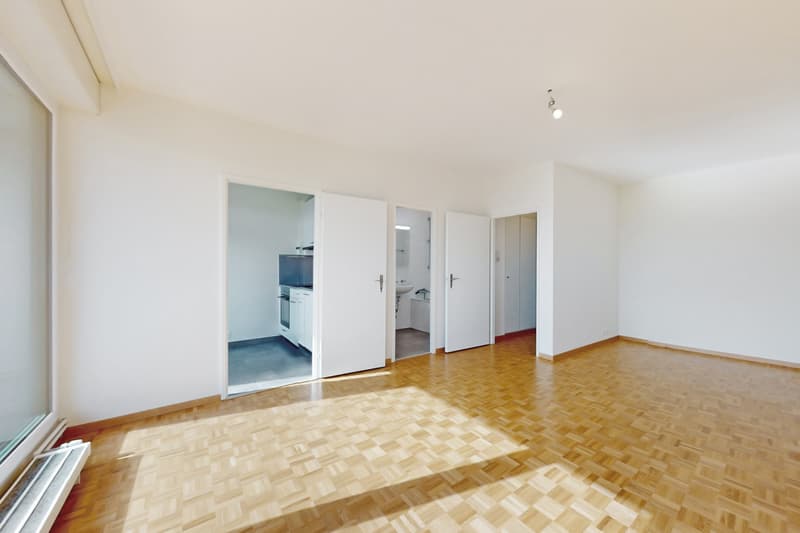 Belle appartement de 2 pièces proche de la Gare Cornavin (4)