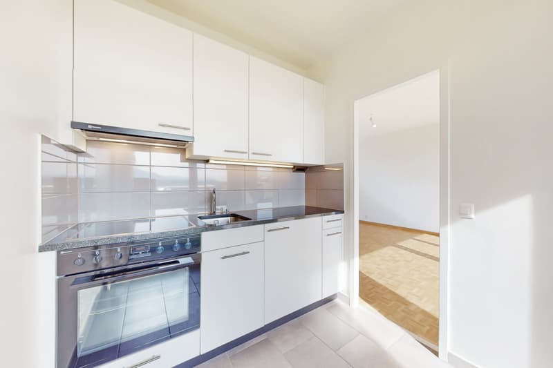 Belle appartement de 2 pièces proche de la Gare Cornavin (3)