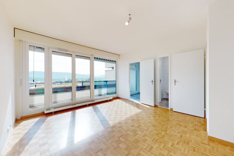 Belle appartement de 2 pièces proche de la Gare Cornavin (2)